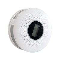 Rookmelder Sensor Koolmonoxide Detectie Geluid Licht Alarm Thuisveiligheid Preventie Apparaat