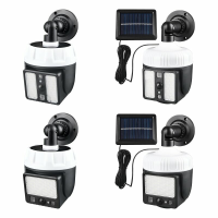 Simulatie Monitoring Camera Menselijk Lichaam Inductie Binnenplaats Zonnelamp Detectie Licht Tuin Lantaarn
