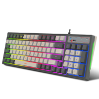 V6000 bedraad toetsenbord 96 toetsen Type C naar USB RGB achtergrondverlichting Ergonomisch toetsenbord voor thuiskantoo