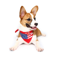 Yani HG PLJ1 Pet Hond American Flag Collar Pet PU Canvas Decoratieve Cool Collar