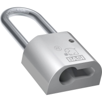 Basi PZ5090 0021 Hangslot 50 mm Vernikkeld