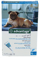 Bayer Advantage Hond 4 Pipetten #95;_100 Vanaf 4kg 4 Pip