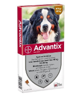 Advantix Hond 600/3000 Spot on Solution
