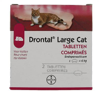 Drontal Large Cat 2 tabl