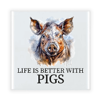 Cadeau tegel boerderijdieren liefhebber   varkens   keramiek   waterverf   15 cm