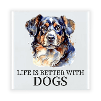 Cadeau tegel hondenliefhebber   Border Collie hond   keramiek   waterverf   15 x 15 cm