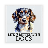 Cadeau tegel hondenliefhebber   Teckel hond   keramiek   waterverf   15 x 15 cm