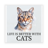 Cadeau tegel kattenliefhebber   Blauwe Rus kat/poes   keramiek   waterverf   15 cm
