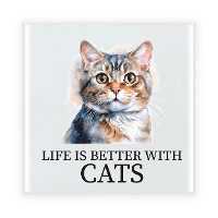 Cadeau tegel kattenliefhebber   Britse Korthaar kat/poes   keramiek   waterverf   15 cm