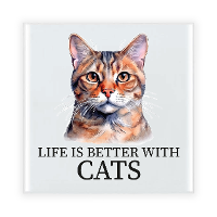 Cadeau tegel kattenliefhebber   Burmees kat/poes   keramiek   waterverf   15 cm