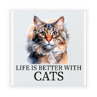 Cadeau tegel kattenliefhebber   Maine Coon kat/poes   keramiek   waterverf   15 cm