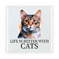 Cadeau tegel kattenliefhebber   Munchkin kat/poes   keramiek   waterverf   15 cm