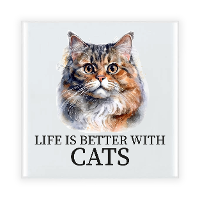 Cadeau tegel kattenliefhebber   Perzische Kat kat/poes   keramiek   waterverf   15 cm