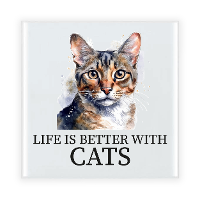 Cadeau tegel kattenliefhebber   Siamees kat/poes   keramiek   waterverf   15 cm
