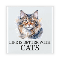 Cadeau tegel kattenliefhebber   Siberische Boskat kat/poes   keramiek   waterverf   15 cm