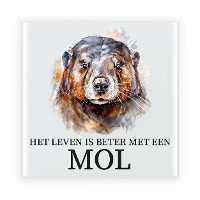 Cadeau tegel voor de familie Mol   het leven is beter met een Mol   keramiek   waterverf   15 cm