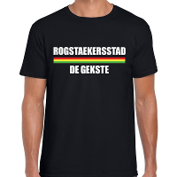 Carnaval Rogstaekersstad de gekste t shirt zwart voor heren