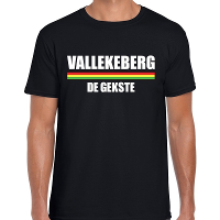 Carnaval Vallekeberg de gekste t shirt zwart voor heren