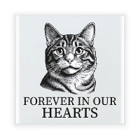 Herdenking cadeau tegel kattenliefhebber   American Curl kat/poes   zwart/wit   keramiek   15 cm