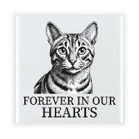 Herdenking cadeau tegel kattenliefhebber   Bengaal kat/poes   zwart/wit   keramiek   15 cm