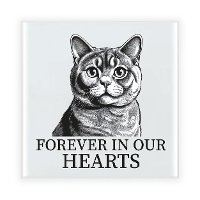 Herdenking cadeau tegel kattenliefhebber   Britse Korthaar kat/poes   zwart/wit   keramiek   15 cm