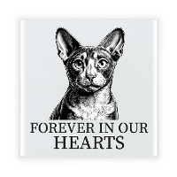 Herdenking cadeau tegel kattenliefhebber   Cornish Rex kat/poes   zwart/wit   keramiek   15 cm