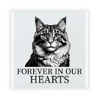 Herdenking cadeau tegel kattenliefhebber   Maine Coon kat/poes   zwart/wit   keramiek   15 cm