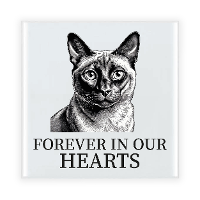 Herdenking cadeau tegel kattenliefhebber   Siamees kat/poes   zwart/wit   keramiek   15 cm