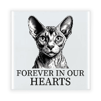 Herdenking cadeau tegel kattenliefhebber   Sphynx kat/poes   zwart/wit   keramiek   15 cm