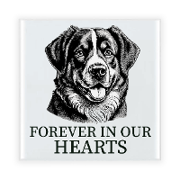 Herdenkings cadeau tegel   hondenliefhebber   Benner Senner hond   zwart/wit   keramiek   15 x 15 cm