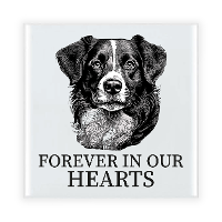 Herdenkings cadeau tegel   hondenliefhebber   Border Collie hond   zwart/wit   keramiek   15 x 15 cm