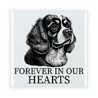 Herdenkings cadeau tegel   hondenliefhebber   Cavalier King Charles Spaniel hond   zwart/wit   15 cm