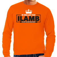 Koningsdag sweater voor heren   ik lust alleen maar bier   oranje   oranje feestkleding