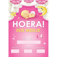 Mega poster Hoera een meisje   geboorte feestartikelen   versiering   59 x 84 cm
