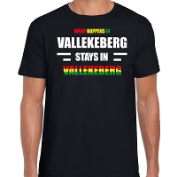 Valkenburg/Vallekeberg Carnaval outfit / t  shirt zwart heren