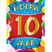 Verjaardag deurposter   10 jaar   multi   59 x 84 cm   leeftijd feestartikelen