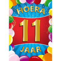Verjaardag deurposter   11 jaar   multi   59 x 84 cm   leeftijd feestartikelen