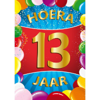 Verjaardag deurposter   13 jaar   multi   59 x 84 cm   leeftijd feestartikelen