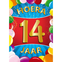 Verjaardag deurposter   14 jaar   multi   59 x 84 cm   leeftijd feestartikelen