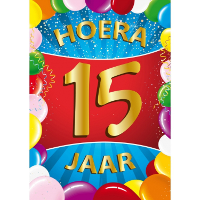 Verjaardag deurposter   15 jaar   multi   59 x 84 cm   leeftijd feestartikelen
