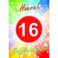 Verjaardag deurposter   16 jaar   59 x 42 cm   leeftijd feestartikelen