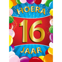 Verjaardag deurposter   16 jaar   multi   59 x 84 cm   leeftijd feestartikelen