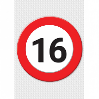 Verjaardag deurposter   16 jaar   stopbord   59 x 84 cm   leeftijd feestartikelen