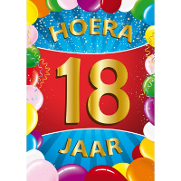 Verjaardag deurposter   18 jaar   multi   59 x 42 cm   leeftijd feestartikelen