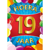 Verjaardag deurposter   19 jaar   multi   59 x 84 cm   leeftijd feestartikelen