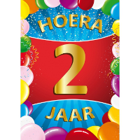 Verjaardag deurposter   2 jaar   multi   59 x 42 cm   leeftijd feestartikelen
