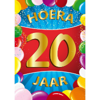 Verjaardag deurposter   20 jaar   multi   59 x 84 cm   leeftijd feestartikelen