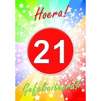Verjaardag deurposter   21 jaar   59 x 42 cm   leeftijd feestartikelen