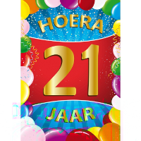 Verjaardag deurposter   21 jaar   multi   59 x 84 cm   leeftijd feestartikelen
