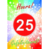 Verjaardag deurposter   25 jaar   59 x 42 cm   leeftijd feestartikelen